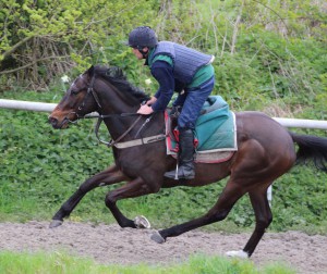 Badenscoth - a welcome winner at Wolverhampton
