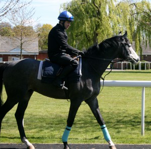 Lothario - runs at Kempton