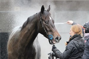 SR being hosed down