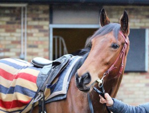 Swiss Chime - returns to Southwell