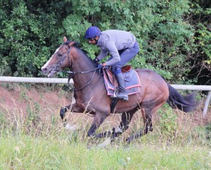 Fighting Temeraire - runs at Nottingham
