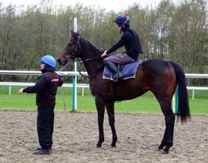 "Woody" about to load