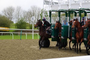 Woody (far side) jumps out
