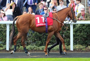 Nezar - runs at Windsor (4.50pm)