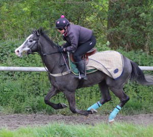 Nicky Baby - broke duck at Chelmsford