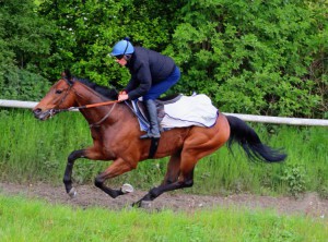 Stake Acclaim - 25/1 winner after 517 days off