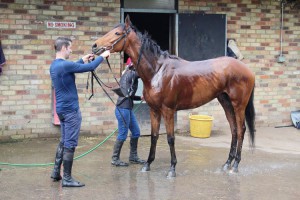 Archdeacon - being hosed down the day after his win