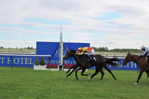 Dancinginthewoods gets up on the line!