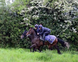 Dancinginthewoods - makes his debut today at Newmarket.