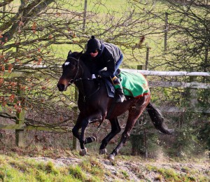 Gregorian Girl - runs at Leicester
