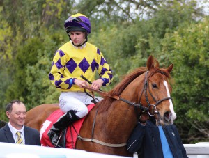 Kadrizzi - one of four runners in 3.30 at Lingfield