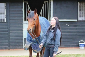 One Cool Daddy - returns to Kempton this evening