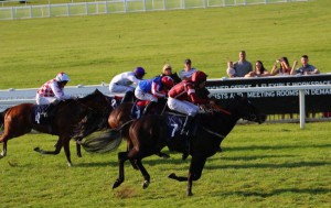 Spring Romance - winning at Windsor last year