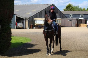 Badenscoth - a six-time winner