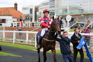 Dancinginthewoods - form chance at Doncaster