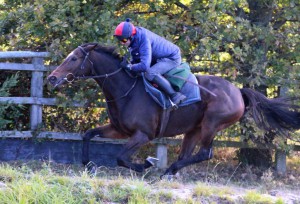 Dor's Law - easy winner at Nottingham