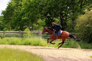 One Cool Daddy - supported at Windsor