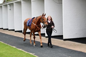 Soaring Spirits - runs at Brighton 