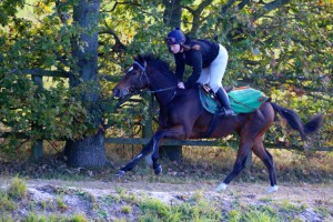Yimou - interesting at Newbury over 6f