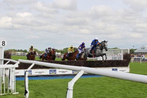 Alexander The Grey leads them over the water jump on the first circuit of the RSA sponsored race