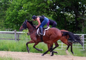 Daddy's Daughter - good chance at Newmarket