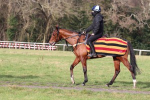 Sir Prize - good chance at Kempton
