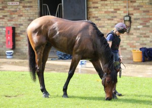 Eljaddaaf - tough task at Kempton