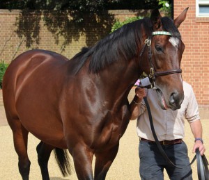 Frankel