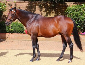 Kingman