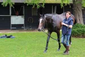 Bruyere - chilling out at home