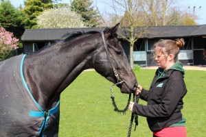 Fantastic Flyer  - runs at Kempton