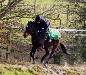 Gregorian Girl - each-way chance at Kempton