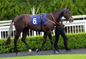 Spring Romance - loves it at Lingfield