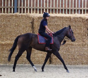 Tangramm - good form at Wolverhampton