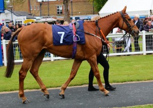 Soaring Spirits - well handicapped but out of form