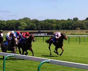 Spring Romance (middle of three) winning at Nottingham