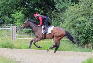 Lancelot Du Lac - well handicapped