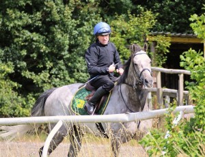 Librisa Breeze - runs in a handicap at Lingfield