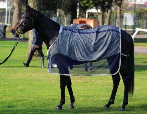 Spring Romance - wide draw at Kempton