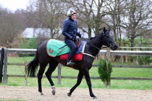 Fantastic Flyer - joint-favourite at Chelmsford