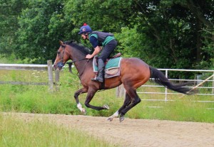 Fighting Temeraire - win number 499 for yard