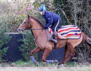 Nezar - each-way claims at Kempton