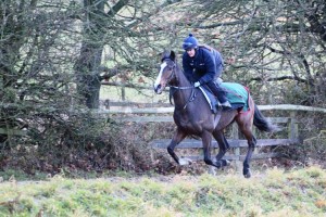 Fighting Temerare - good each chance at Chelmsford