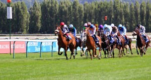 Racing in Deauville 18 August 2019