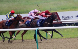 Lingfield Park
