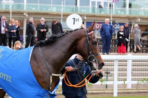 Dancinginthewoods - should be back racing soon