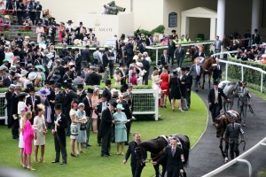 Paddock scene 2