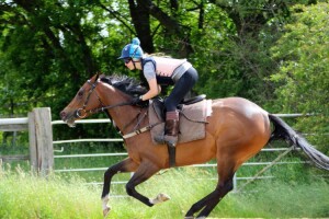 Alsukar - 100/1 chance at Lingfield