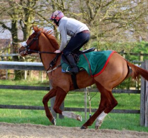 Dover Light - back at Lingfield