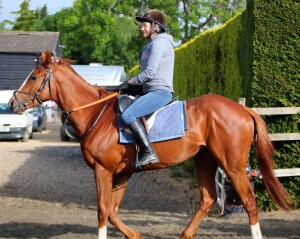 Dover Light - big drifter at Doncaster